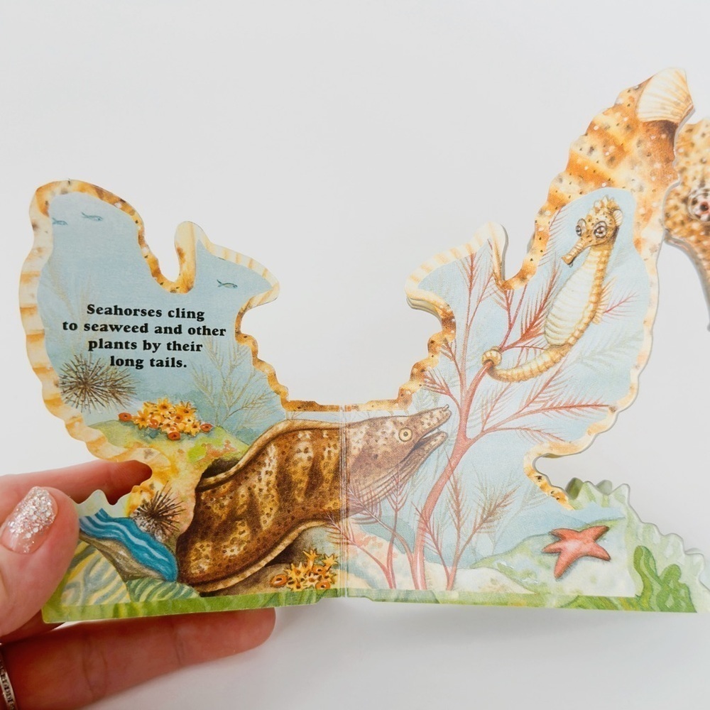 Portable Pets Seahorse Board Book​ - Picture 3 of 7